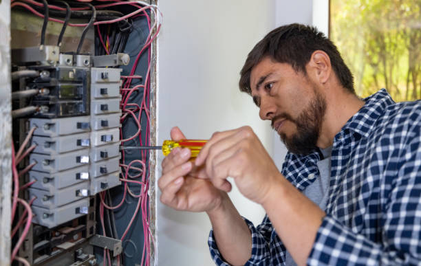 Best Licensed Electrician  in Scotland Neck, NC